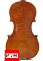 VIOLON SAMUEL EASTMAN VL100