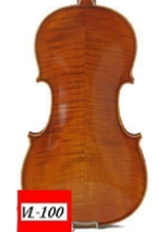 VIOLON SAMUEL EASTMAN VL100